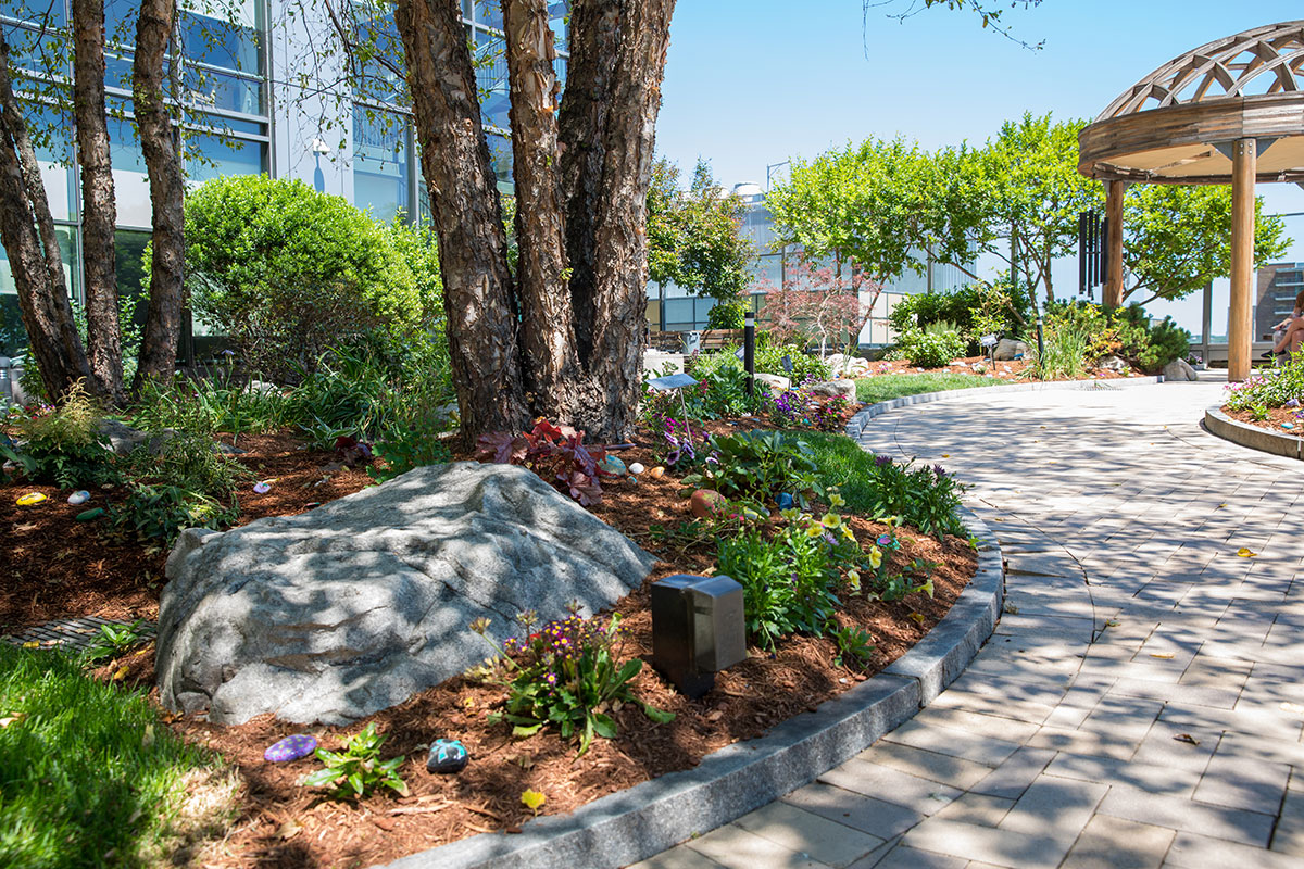 healing garden