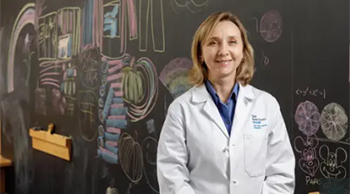 Dr. Vash-Margita