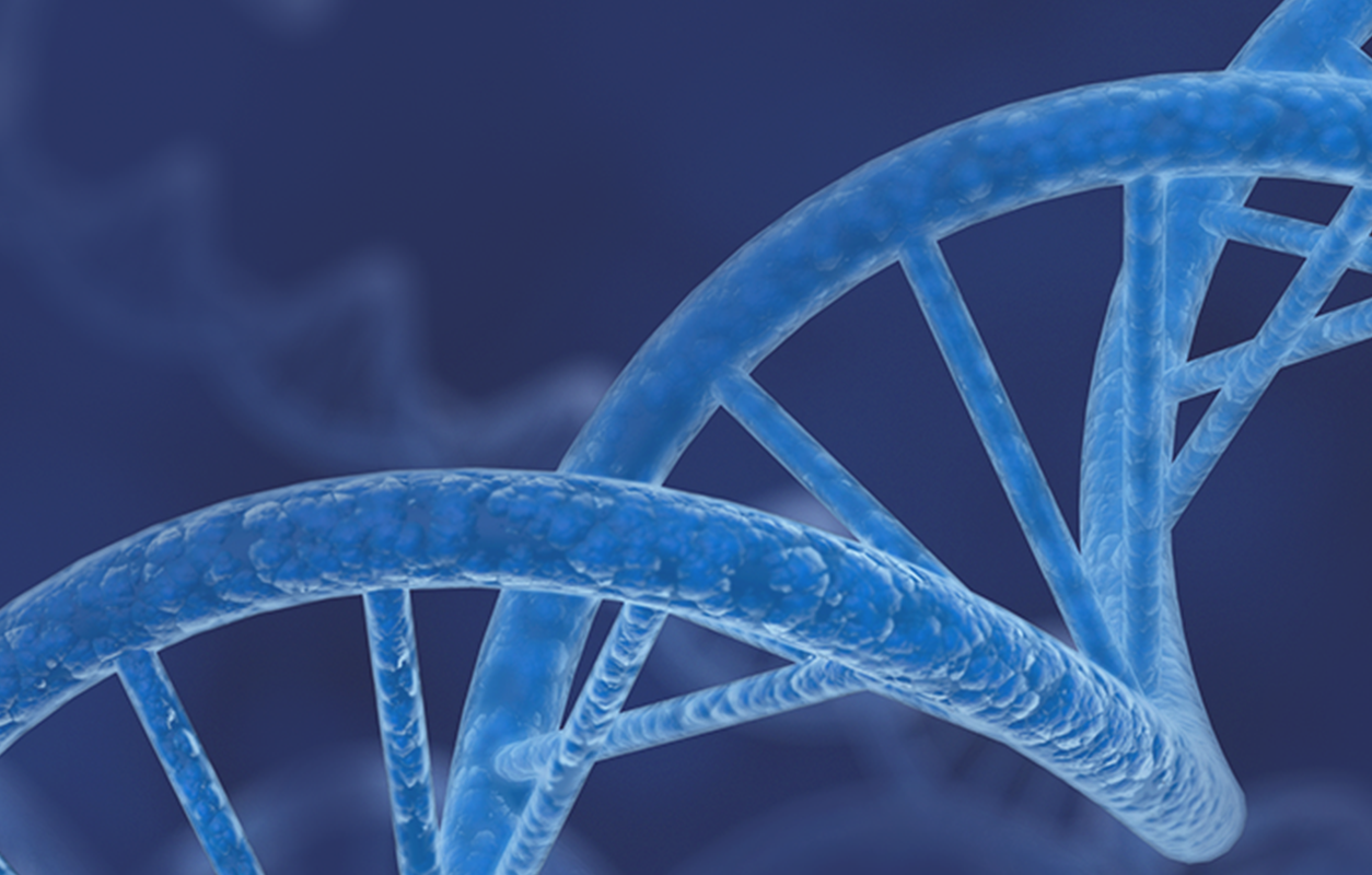 genetics program dna strand