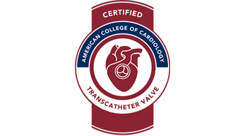 TAVR seal