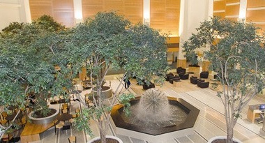 Saint Raphael Healthcare System Affiliated Physicians INC — Home Health Nursing, New Haven, CT · photo 6