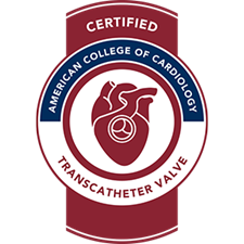 TAVR Seal