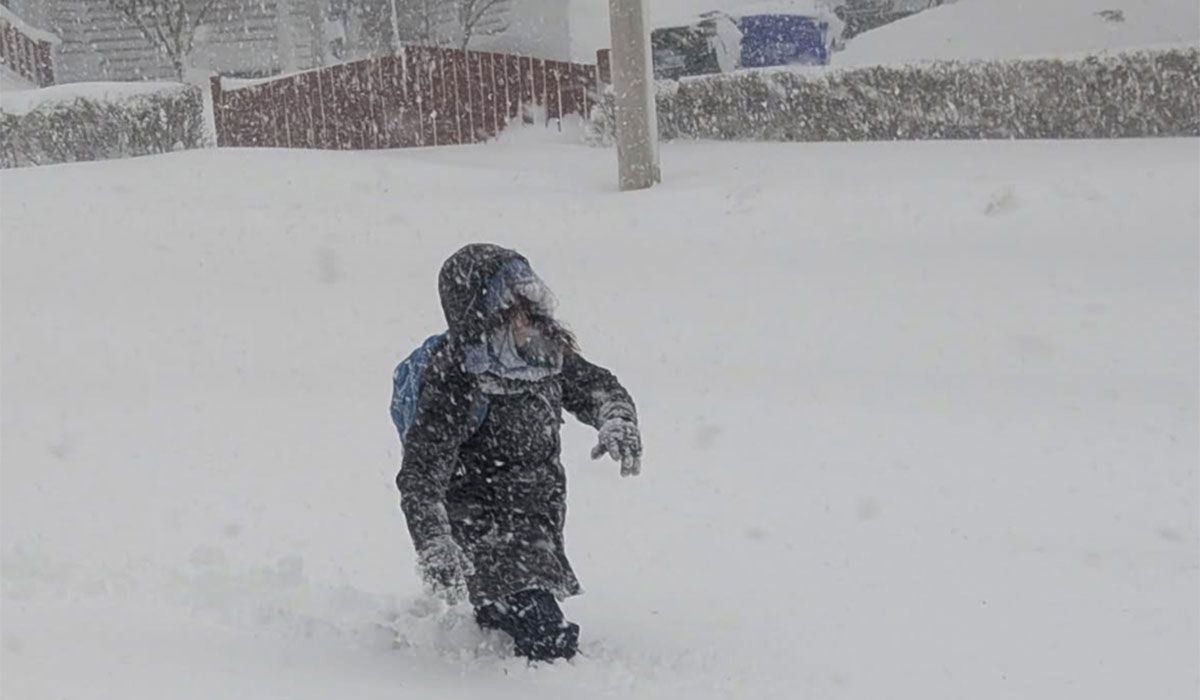 Worker walking in snow