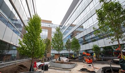 Adams Neurosciences Center is a sanctuary garden