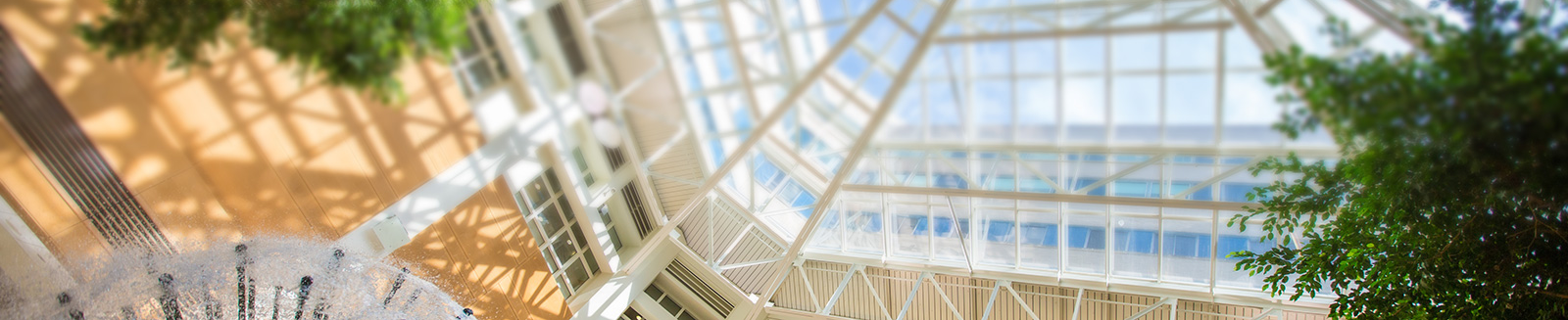 Ynhh Medical Records Ynhh Medical Records