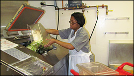 Kitchen biodigester