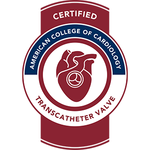 TAVR Seal